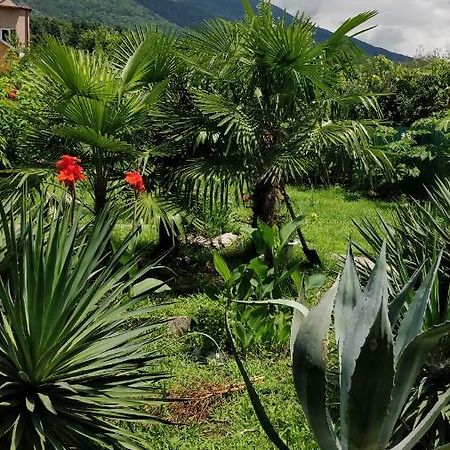 Tikhaya Gavan Guest House Gagra Extérieur photo