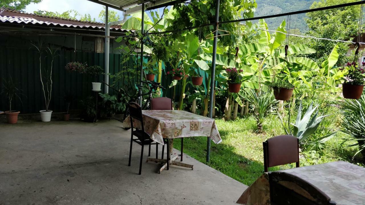 Tikhaya Gavan Guest House Gagra Extérieur photo